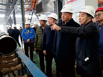 衡陽市委書記、市人大常委會主任鄭建新視察金化高容